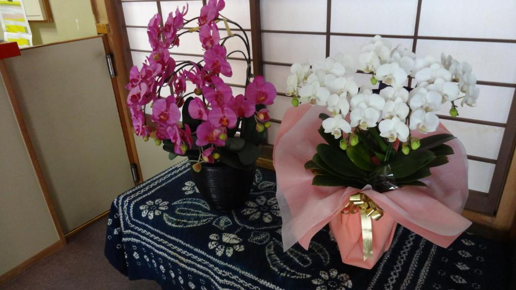 Matsunoi Ryokan 草津 外观 照片